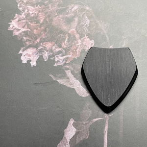 Guitar Pick Rough Black
